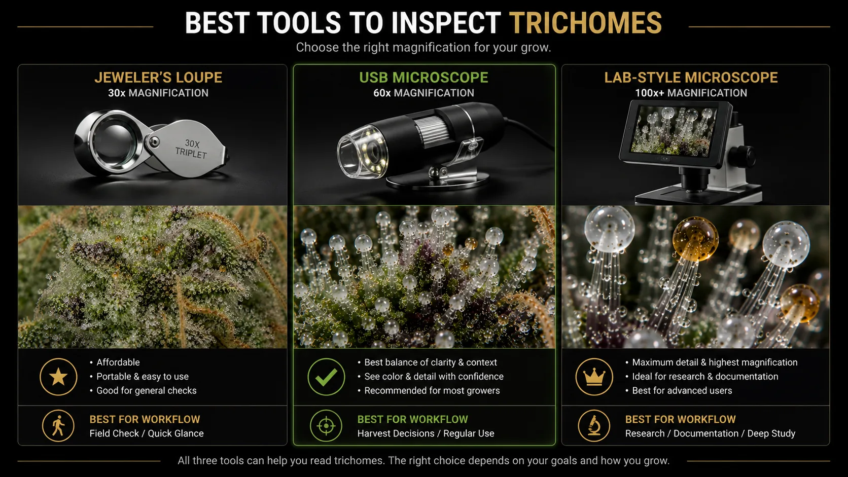 Comparison of three tools to inspect cannabis trichomes: a 30x jeweler's loupe for quick field checks, a 60x USB microscope as the recommended balance for harvest decisions, and a 100x-plus lab-style microscope for research and documentation.
