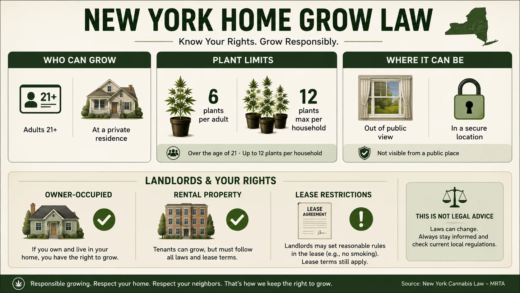 New York home-grow decision board showing age requirement, plant limits, security, personal-use boundary, and housing context in one review order.